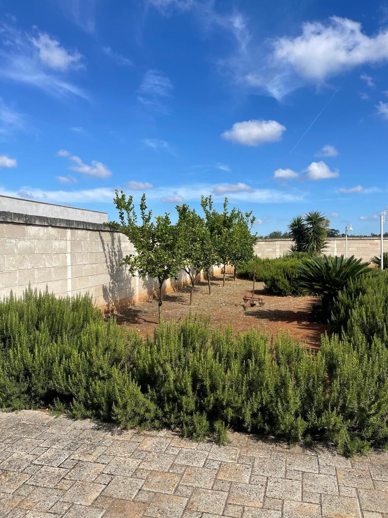 Masseria Don Bonifacio Castellana Grotte Eksteriør billede
